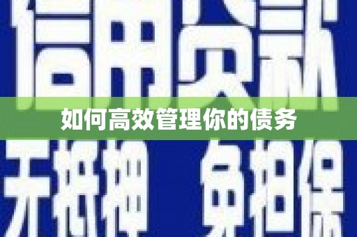 白朗如何高效管理你的债务