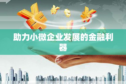 白朗助力小微企业发展的金融利器