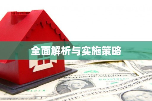 白朗全面解析与实施策略
