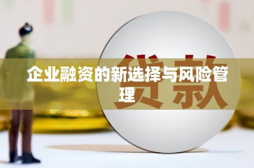 白朗企业融资的新选择与风险管理
