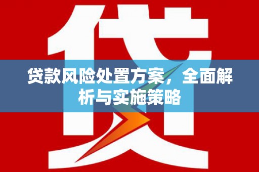 白朗贷款风险处置方案，全面解析与实施策略