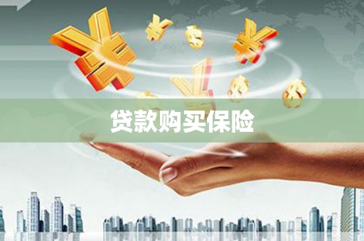 白朗贷款购买保险